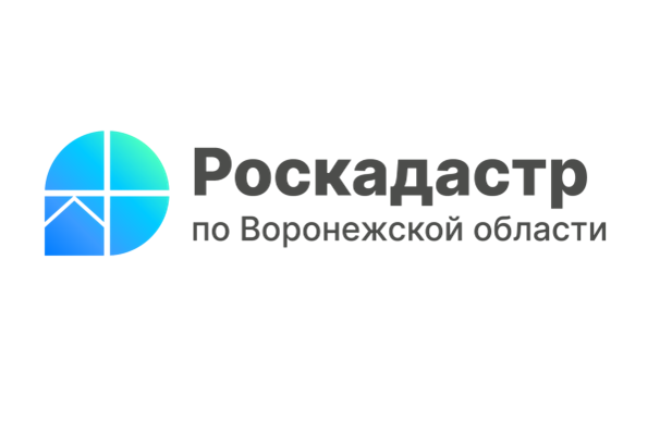 Воронежцам расскажут об изменении стоимости выписок из ЕГРН.